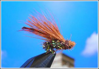 Fly Fishing Guides Flies Fishermen Gear Jeweled Caddis Fly 1-2011