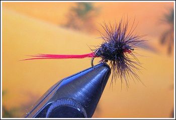 Fly Fishing Guides Flies Fishermen Gear Red Baron Fly 1-2011