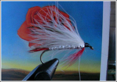 Fly Fishing Guides Flies Fishermen Gear White Fly 9-2011