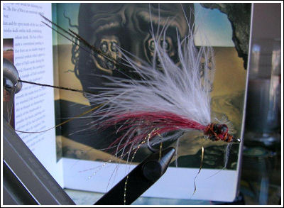 Fly Fishing Guides Flies Fishermen Gear White and Red Fly 9-2011