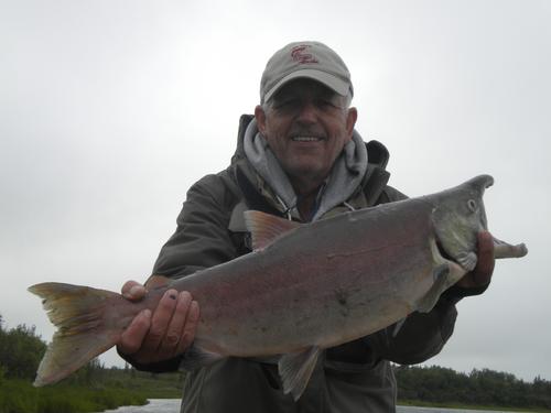 Beautiful Salmon captured by Dan Fallon